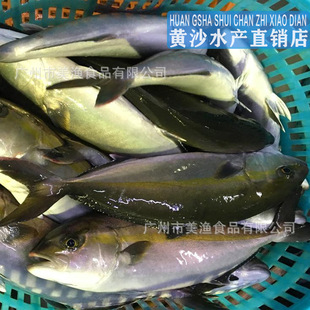 �r���¼t�~��Ѫ���l������̨�t�ʺ��~���~�������r�~ 2-4kg��/�l