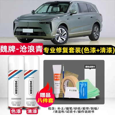 Avtomobil boya qələmləri | dent repair paint - weipai-lanshan-canglang-green-original-factory-self-applied-car-paint-set-4s