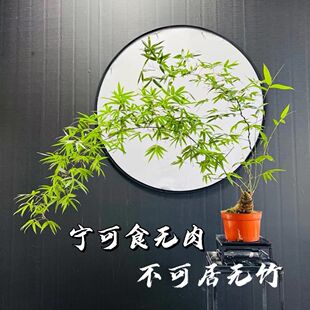 С�~�{����縻�F���Ϙ��Gֲ���������҃ȳ�Ʒ�������F������