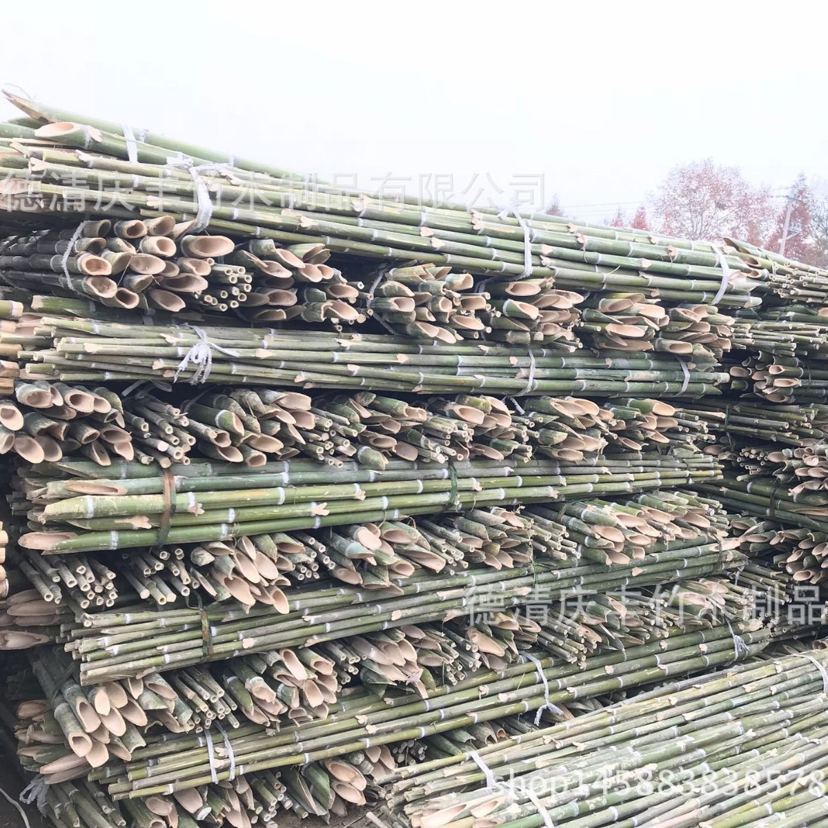 Place of Origin supply Agriculture Scaffolding Yam plant Smooth Bamboo Bamboo tail Bamboo Bamboo Bamboo poles Bamboo
