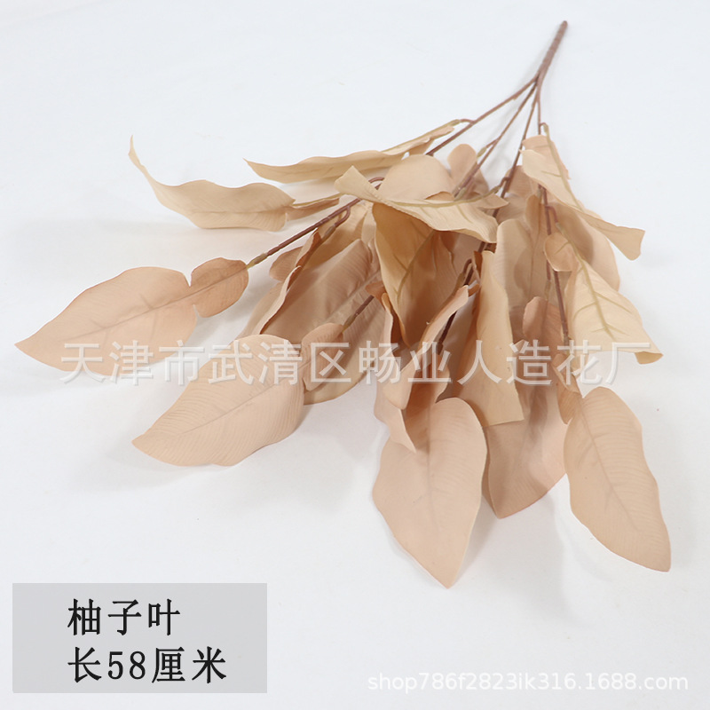 Bouquet de feuilles de pamplemousse