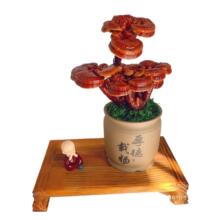 �`֥�`֥�辰�k�����Bֲ���^�p���^�`֥�[��