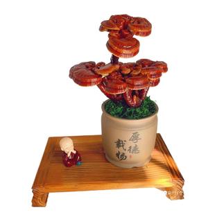 �`֥�`֥�辰�k�����Bֲ���^�p���^�`֥�[��