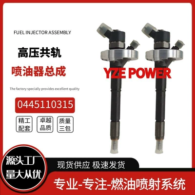 Oil pump, nozzle Injector 16600 Ma70A Suitable