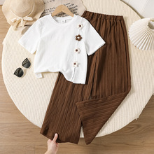 �羳Ůͯ���b2026�����¿��n���OӋ�в�Ҏ�t�_��ٴ���������Lѝ