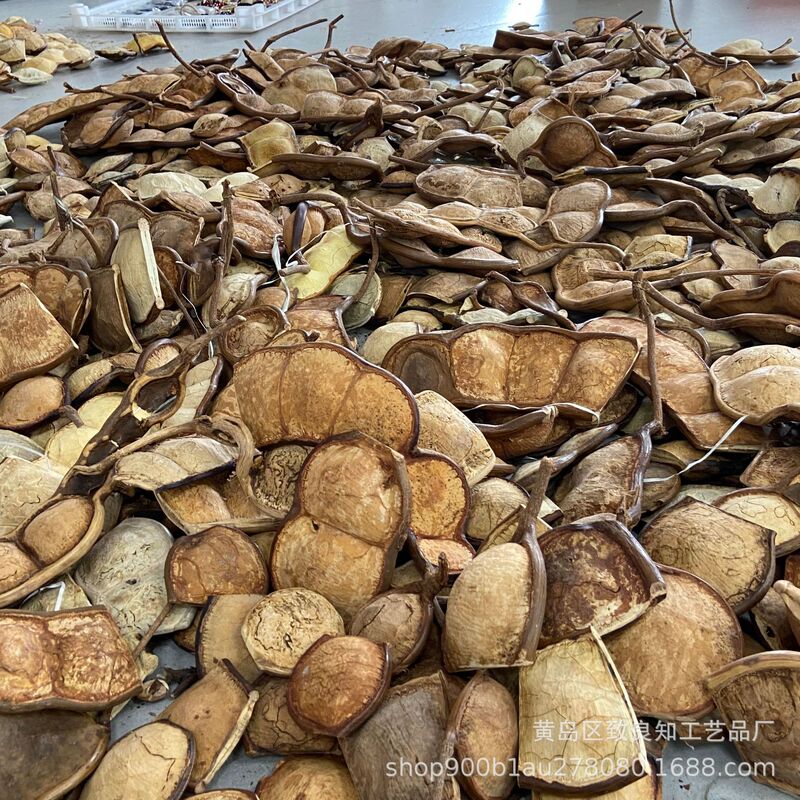 Yunnan Soybean Pod Doll Handmade DIY Material Kit, Popular DIY Salon Team-Building Activity from Ping an Dou Handmade Shop Yunnan Soybean Pod Doll Handmade DIY Material Kit, Popular DIY Salon Team-Building Activity from Ping an Dou Handmade Shop