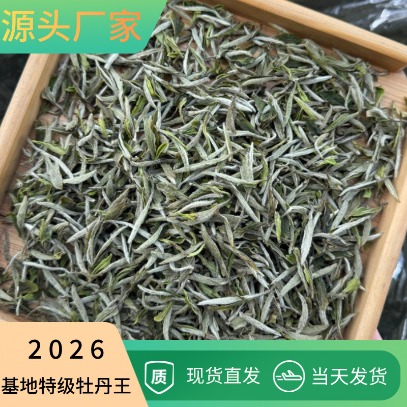 2026 Fuding White Tea Directly Supplied from the Base, Premium Peony King with Floral Fragrance, Sweet and Refreshing, Rich and Smooth Aftertaste, Wholesale from Manufacturer