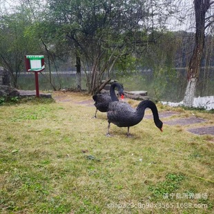 �������ˮ�������^�p�����Z�Bֳ �^�pˮ�ݻ��w Ó�غ����Z�����l