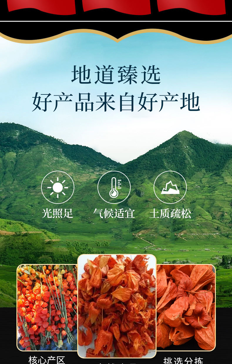 Jin Deng Long (Physalis alkekengi) — Dried Chinese Lantern Calyx Herb, 500g quality and texture