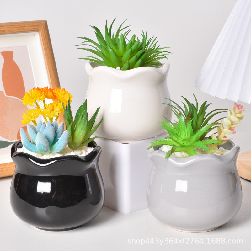 Ceramic Flower Pots Amazon Succulent Gardening Desktop Planting Simple Succulent Planting Pots Pottery Business Gifts Green Plants