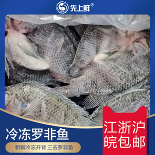 �����r�_���_���~���r�����ȥ�����a�~���~Ƭ��������������~