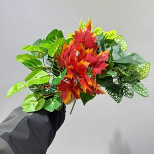 ����Gֲ�W�y�~���~΢���^�쾰ܛ�bֲ��Ҿӵز�[�Ų廨�����~