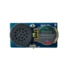 Fanglan 16B (speaker version)