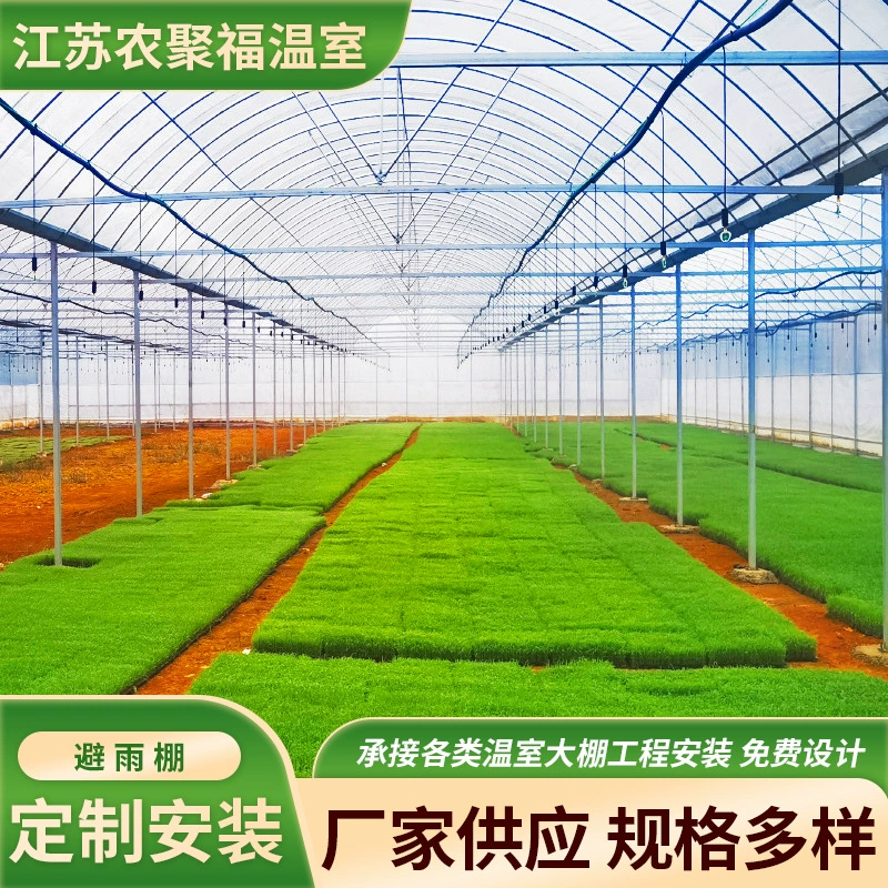 Производители устанавливают арочные пленочные теплицы для выращивания растений, теплые укрытия для рассады цветов и теплицы для фруктов и овощей.