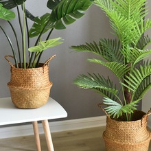 ���W�پ��ݾ��������@�񾎾Gֲ������ؾ����@�@��ֲ�ﻨ�������