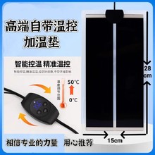 ؿؼӟ|،mߞ~׽܌ﱣؼӜؿ؜