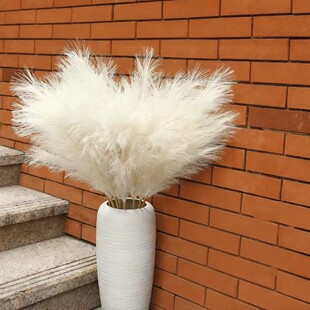 ���l55cm�����JȔ�ݻ� �羳����������Ȕ ���R�d�JȔ������˹��