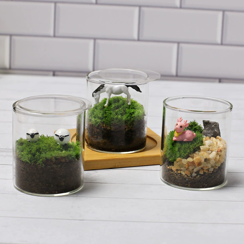 Творческая забава мох микро пейзаж экологическая бутылка Крытый Рабочий стол DIY мини прямая бутылка детский сад учебные украшения