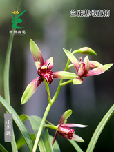 ��Դ�m�ϷN�ļ����m�����ݼt�p�С������������������B�҃Ȼ���