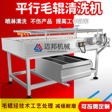 水果加工清洗毛辊生产平行清洗机类桃清洗机毛刷设备杏子厂家