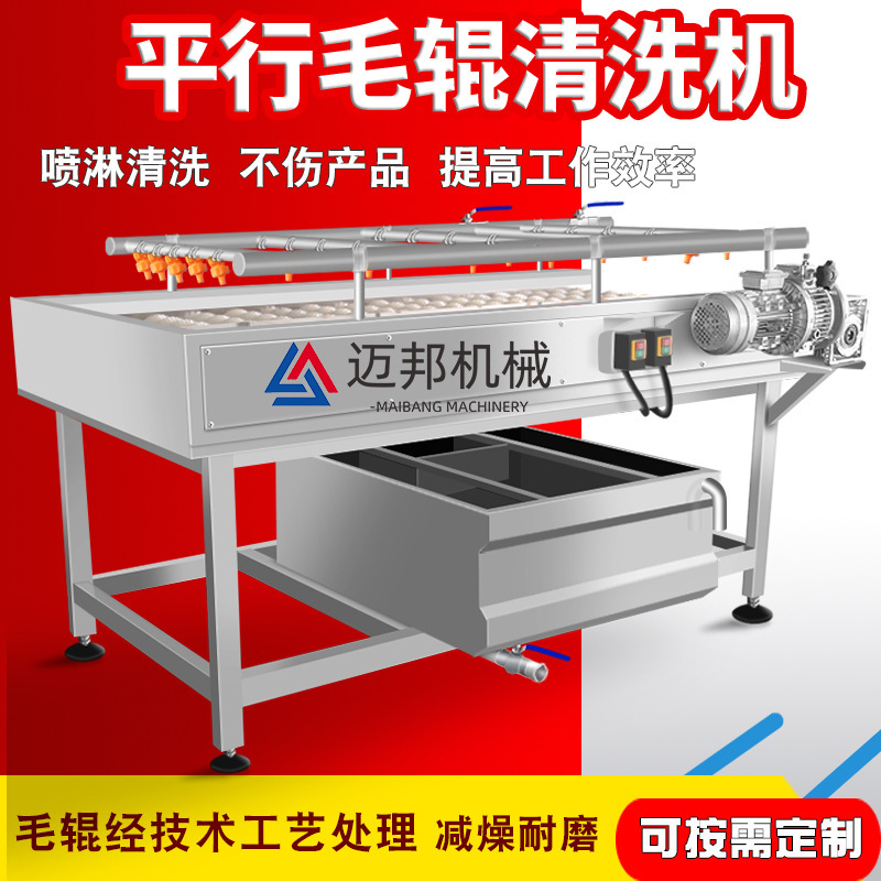 水果加工清洗毛辊生产平行清洗机类桃清洗机毛刷设备杏子厂家