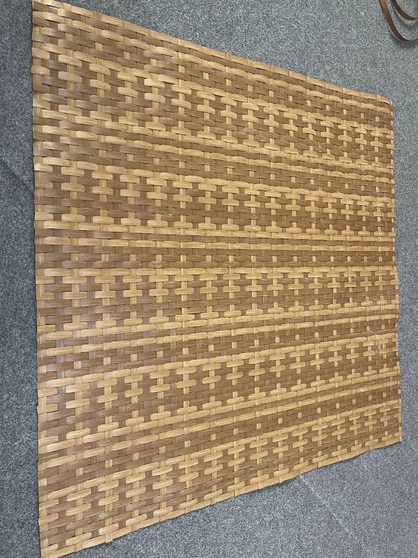 2023_09_21_09_13_IMG_6804