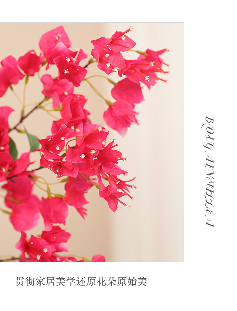 仿真三角梅_07.jpg