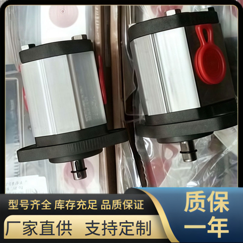 马祖奇ALP4-D-160油泵，意大利MARZOCCHI齿轮泵