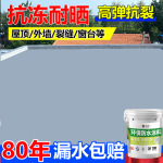 聚氨酯防水涂料屋顶大面积补漏楼顶堵漏王js高聚合物橡胶沥青防水
