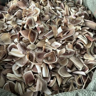 �|��¹��Ƭɢ�b¹��Ƭ¹��ѪƬ��؛�ݾ��Ҝ���Ƭ¹����Ƭ