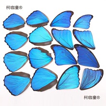 �����Ӻ������˱�diy���ϴ��{�W���g��Ů����ᮋ�W���։�����