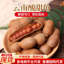 �������خa���rҰ��������ЋD��ʳˮ���������ᗗ�_���������