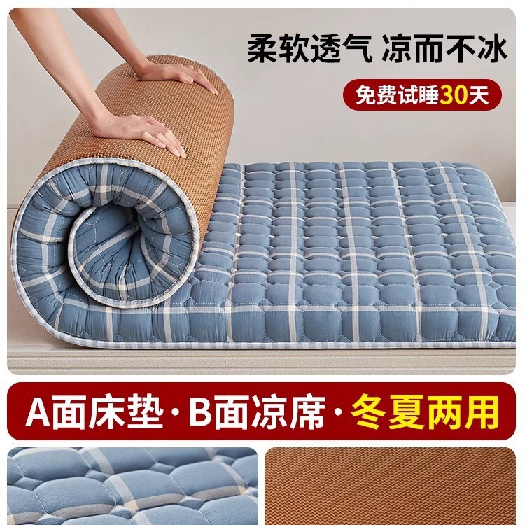 地铺睡垫家用床垫软垫防潮地垫打地铺神器租房专用垫学生宿舍单人|undefined