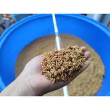 ˮ��С���N�Ӵ�ѿ�C �a�������߲˰lѿ�C С���ԄӜؿؼӟ���ѿ�C