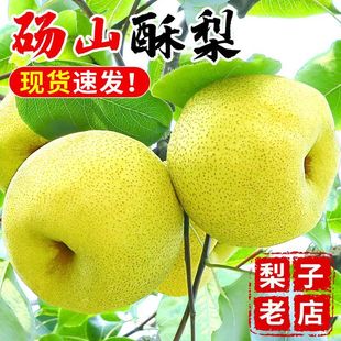 ���ӴXɽ������������SƤ�������rˮ��ؕ��ǻʹ���Fժ�F�l