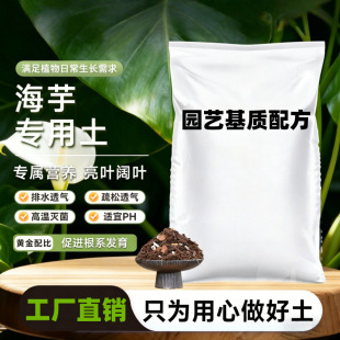 �����ǿƌ��àI�B���Gֲ��ͨ�����w���������󻨠T��̿�I�B����