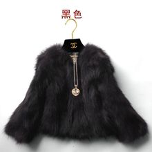 海宁2024新款短款狐狸毛皮草修身显瘦女士貉子毛皮草外套清仓特价