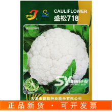 津耘盛松718青梗松花菜种子70天中熟秋季散花菜阿里美小米粒白花
