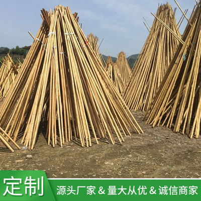 Manufactor supply sale Handle Bamboo indoor Decorating decorate Bamboo fence enclosure Bamboo poles Price