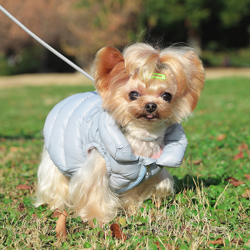 Pet clothing dog clothes two-legged down jacket winter warm cotton-padded jacket small dog vest vest in stock wholesale