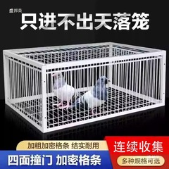 全自动室外天落笼撞门笼收集抓收鸽子加密款户外收扑只进不出木质