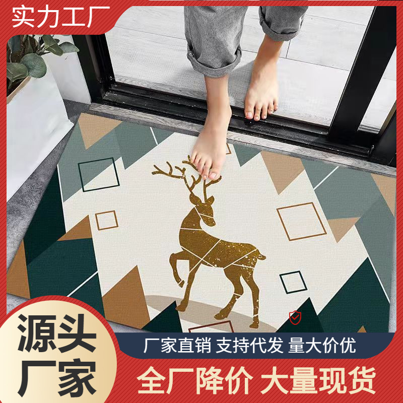Cartoon Entrance Door Floor Mat Home Bathroom Toilet Absorbent Carpet Bathroom Non-slip Mat Living Room Floor Mat