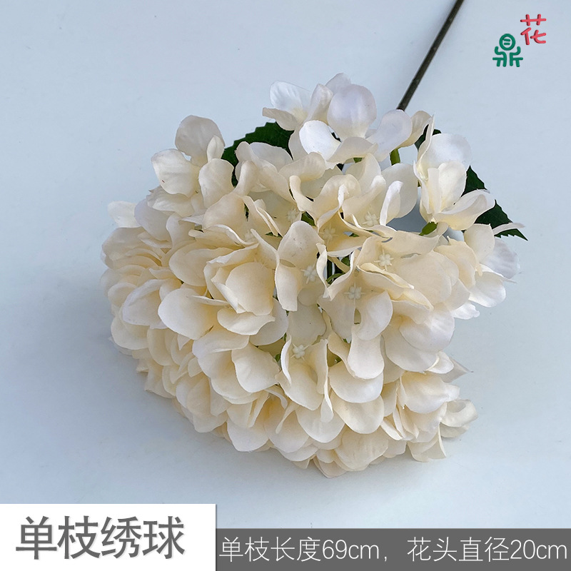 Single stroke LS champagne color