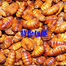 纯干蚕蛹食品级干蚕蛹500克小蜂儿原味可打粉干桑蚕蛹粉
