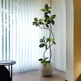 海虹景品孟加拉榕仿真绿植高端轻奢室内客厅仿生花大型落地假盆栽