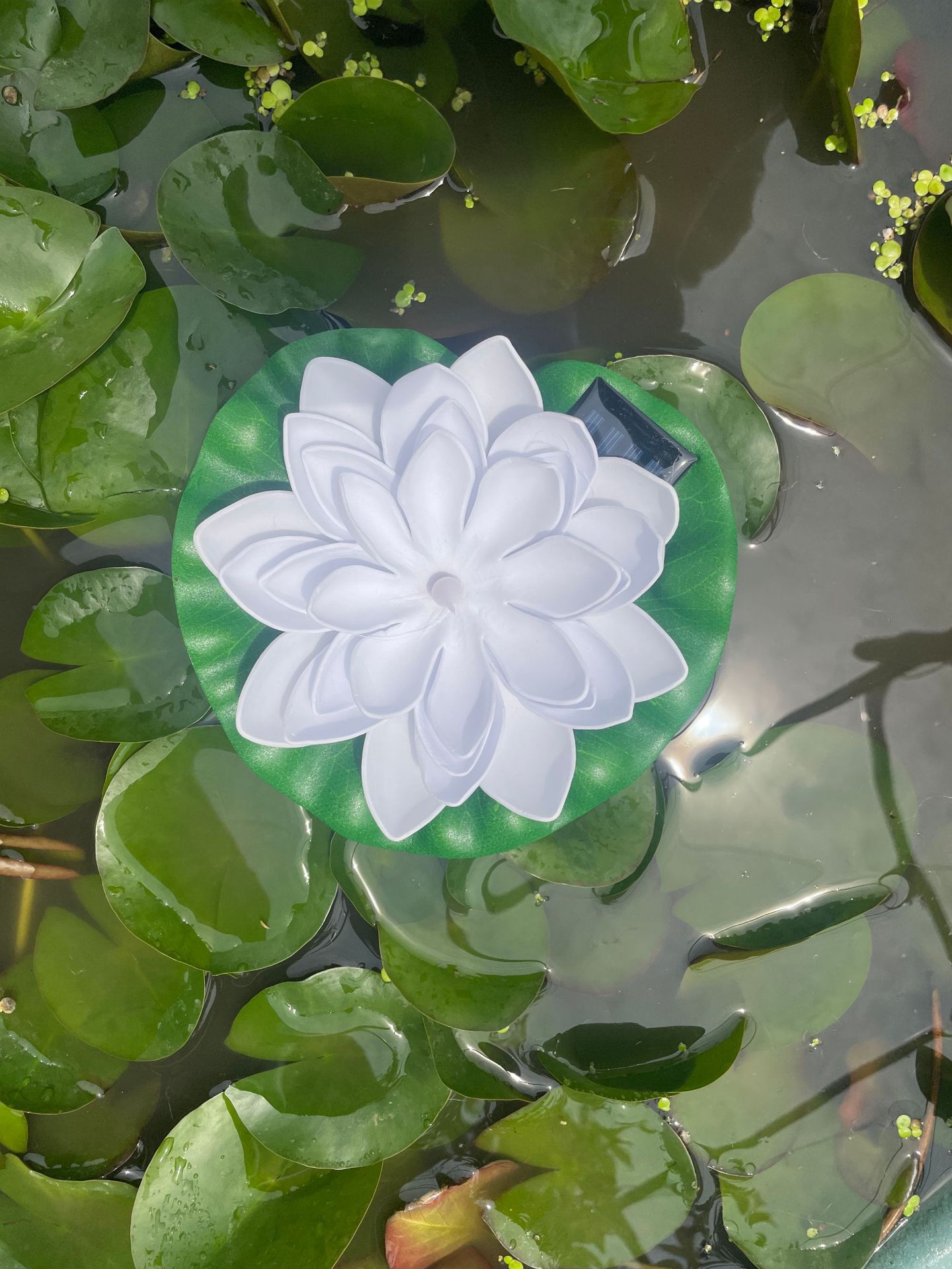 같은 스타일의 인기 판매 - 흰 연꽃 물 표류 램프 - 따뜻한 빛