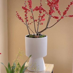 �y����������m����������������Ͱ�p�ݿ͏d�廨���������辰����