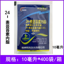 �����̻�24-��̦ܿ�������ƹϵ�������ֲ���������ڼ�10����