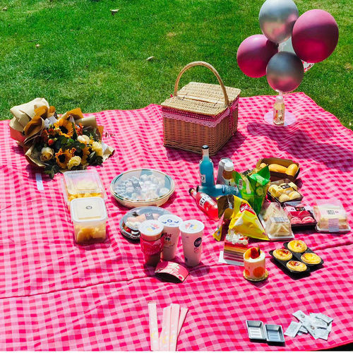 Picnic mat spring outing moisture-proof mat picnic cloth outdoor portable waterproof grass picnic mat outing beach picnic mat