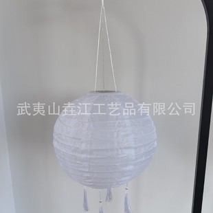 ̫��ܵ�����25cm�����\���K����̫��ܲ����\ͥԺ�b羳�xƷ